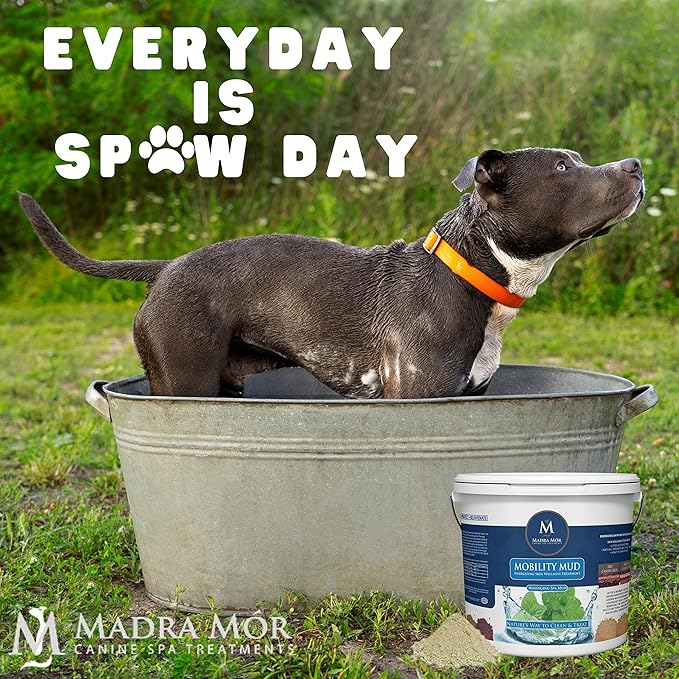 Madra Mor Mobility Dog Essentials Mud Bath | Dog Bath Spa Treatment for Dog Arthritis Pain Relief | Anti Itch for Dogs Wash for Dog Grooming | 7.5lb Pail w Worldwide Nutrition Multi Purpose Key Chain