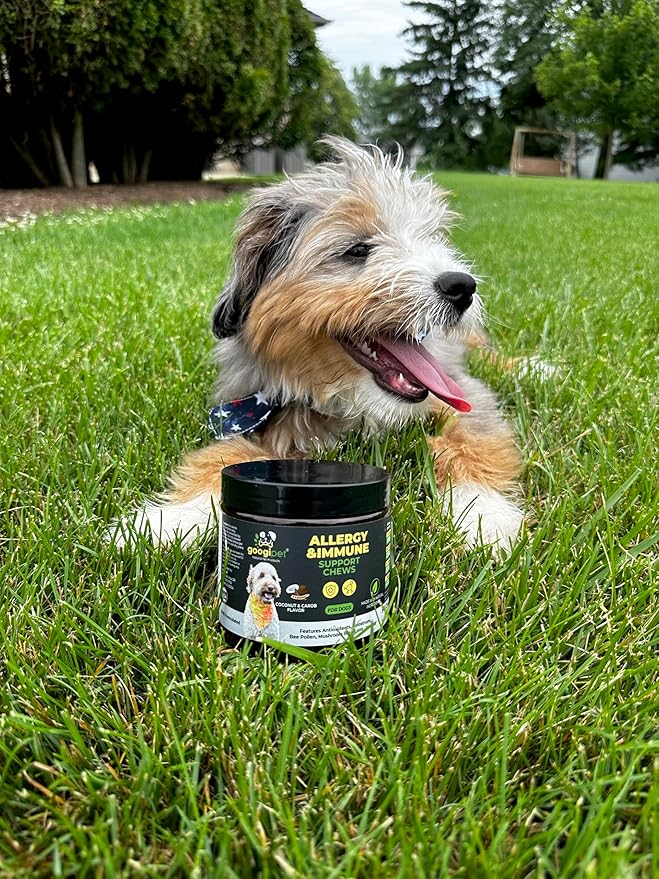 Googipet Dog Allergy Chews -Dog Allergy Relief & Itchy Skin Relief -Dog Skin & Coat Supplement +Bee Pollen, Colostrum for Dogs, Coconut Oil, Probiotics, & Omega 3 Fish Oil for Dogs Itching Skin Relief