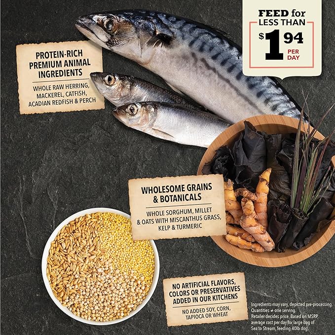 ACANA Wholesome Grains Dry Dog Food, Sea to Stream, Saltwater and Freshwater Fish & Grains Recipe, 22.5lb