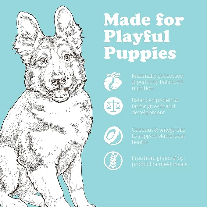 Now Fresh Grain Free Dog Food, 25 lb - Large Breed Puppy Food Recipe - Healthy Diet with Probiotics & Real Meat and Fish for Protein