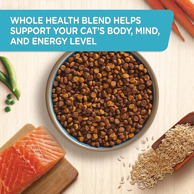 Rachael Ray Nutrish Premium Natural Dry Cat Food with Added Vitamins, Minerals & Other Nutrients, Real Salmon & Brown Rice Recipe, 3 Pound Bag