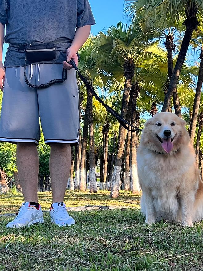 Hands Free Dog Leash with Zipper Pouch, Waist Dog Running Leash with Adjustable Waist Belt and Dual Handle, Reflective Bungee Hands Free Leash for Medium to Large Dogs (Fluorescent green)