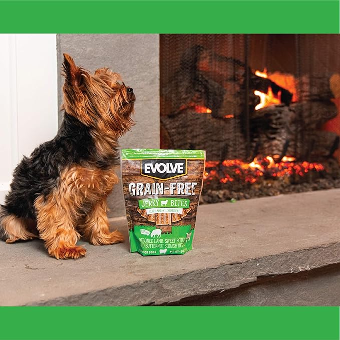 Evolve Grain Free Lamb, Sweet Potato and Butternut Squash Jerky Bites Dog Treats (Pack of 3)