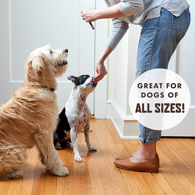 Rocco & Roxie Jerky Dog Treats Made in USA Healthy Treats for Potty Training High Value Real Meat Slow Roasted Snacks for Small, Medium & Large Dogs & Puppies Soft Chews, 1 Pound (Pack of 1)