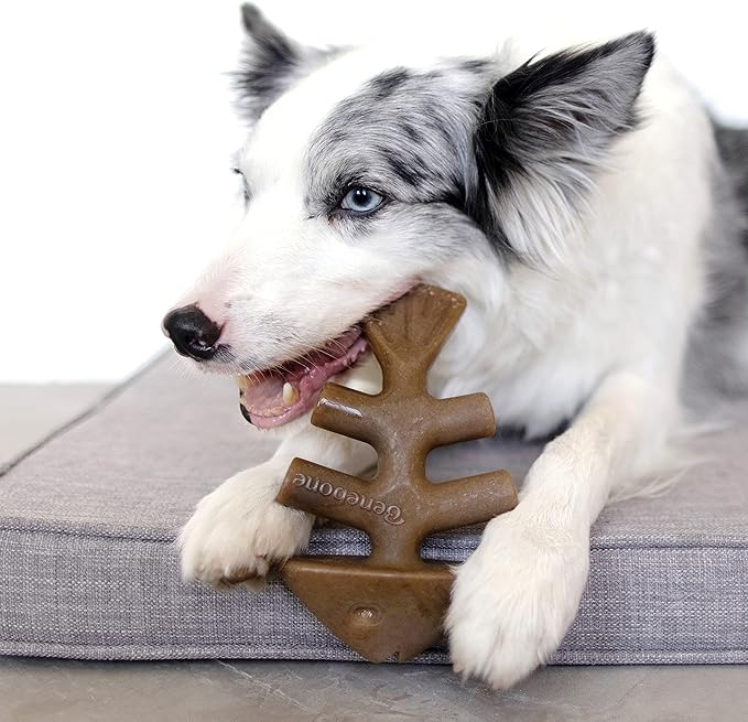 Benebone Medium Holiday 4-Pack Dog Chew Toys for Aggressive Chewers, Made in USA, 60lbs and Under & Tripe Bone Durable Dog Chew Toy for Aggressive Chewers, Real Tripe, Made in USA, Medium