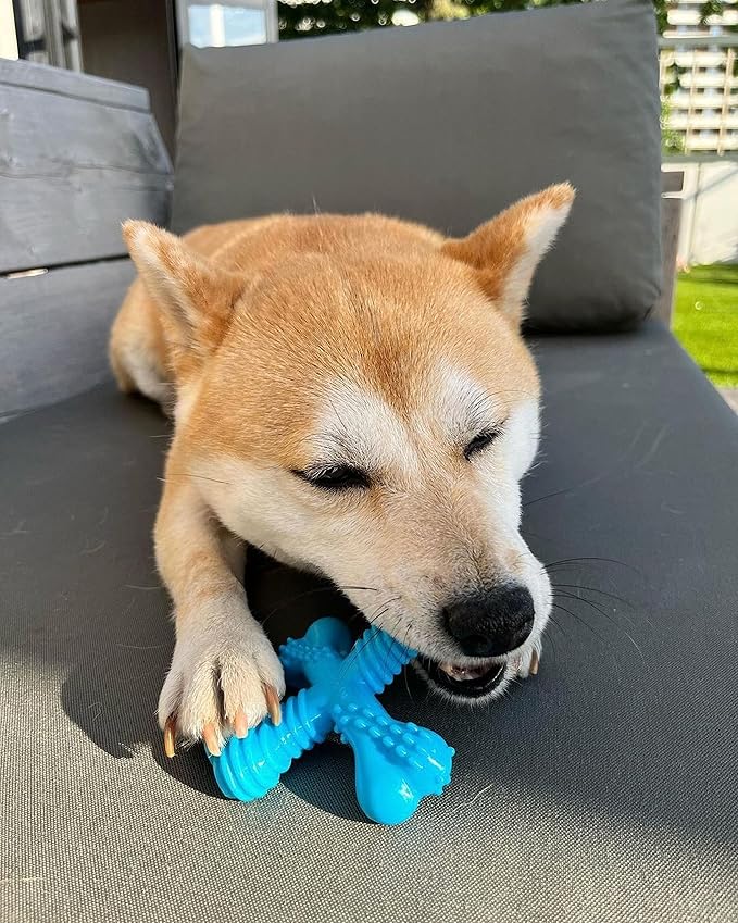 Nylabon Power Chew Comfort Hold X Bone Chew Toy for Dogs, Beef Flavor, Small - Up to 25 lbs. (1 Count)