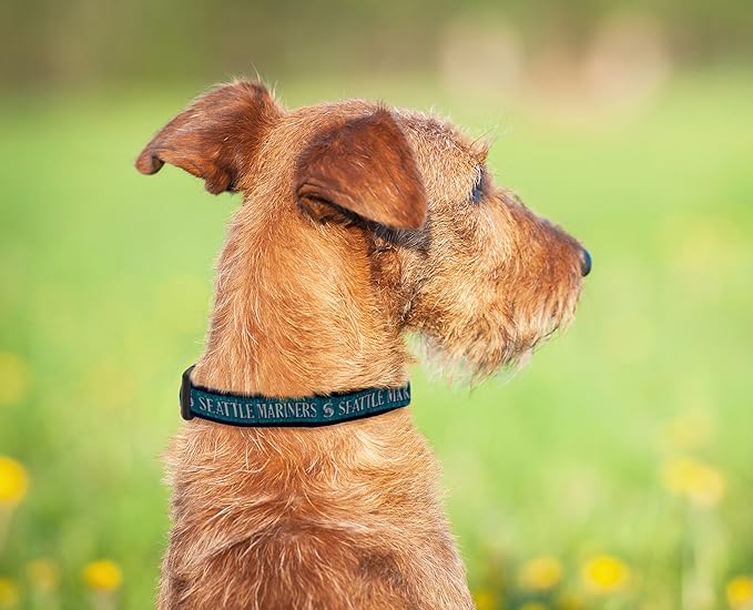 Pets First MLB SEATTLE MARINERS Dog Collar, Medium (MRN-3036-MD)