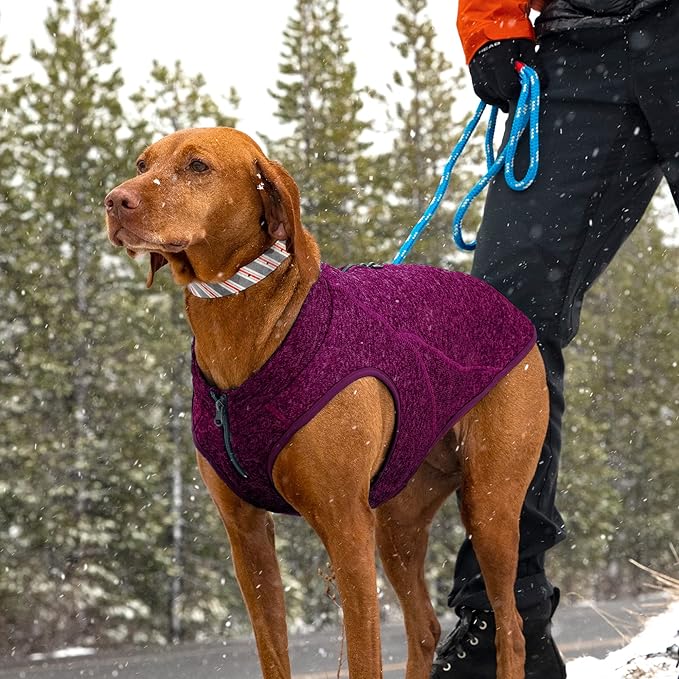 Kurgo Core Dog Sweater, Knit Dog Sweater with Fleece Lining, Cold Weather Pet Jacket, Zipper Opening for Harness, Adjustable Neck, Year-Round Sweater for Small Dogs (Heather Violet, Small)