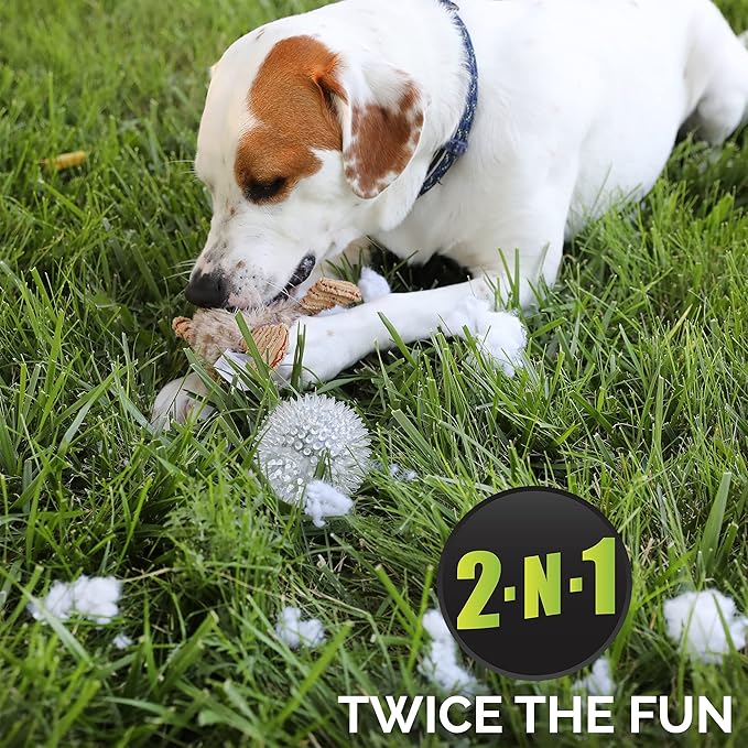 Hyper Pet Bumpy Palz 2-In-1 Interactive Dog Toys, Dog Chew Toys & Dog Puzzle Toy (Plush Dog Toy Exterior & Fun Squeaky Dog Ball Dog Toy Interior for Large Dogs, Medium Dogs & Small Dogs)