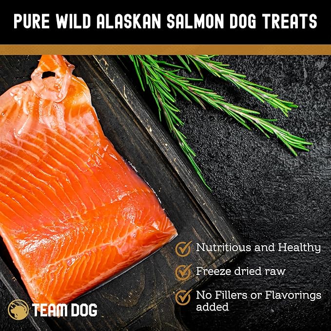 Freeze Dried Salmon Dog Treats for Training | Healthy Gluten Free, Grain Free Dog Treats | No Added Fillers, Flavoring or by-Products | for All Breeds & Sizes | 5 Oz