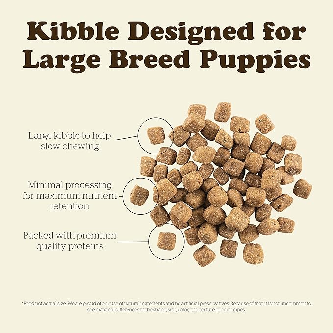 Now Fresh Grain Free Dog Food, 25 lb - Large Breed Puppy Food Recipe - Healthy Diet with Probiotics & Real Meat and Fish for Protein