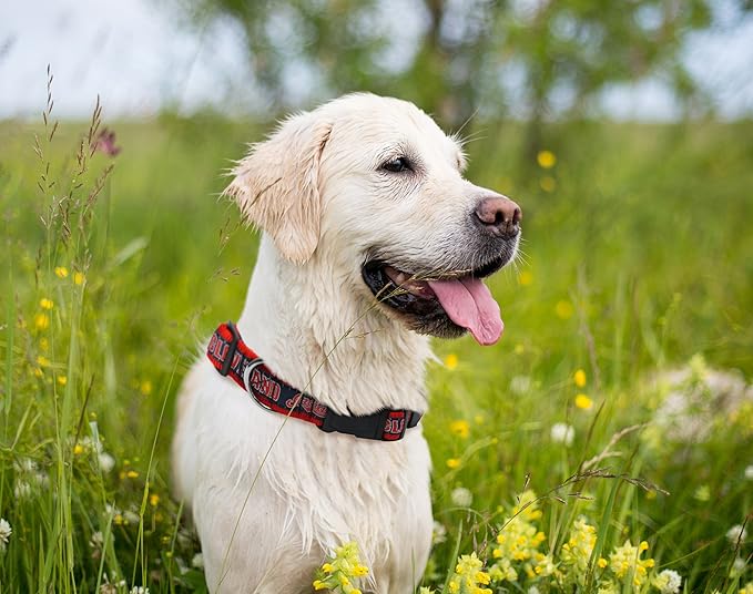 MLB Cleveland Baseball Team Licensed PET COLLAR- Heavy-Duty, Strong, and Durable Dog Collar. Available in 29 Baseball Teams and 4 Sizes