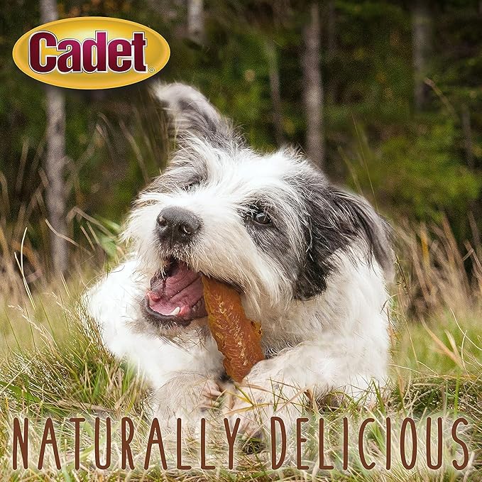 Cadet Chicken Breast Jerky Dog Treats, 28 Ounces Per Bag (2 Pack)
