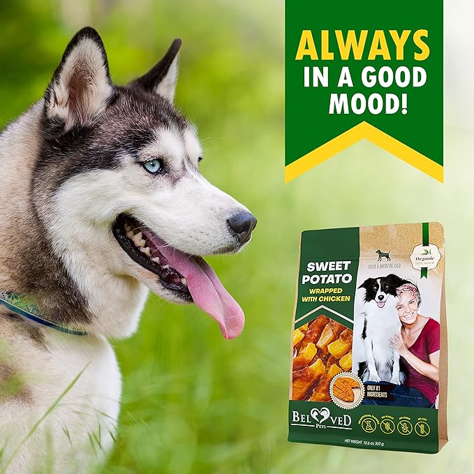 Dog Sweet Potato Wrapped with Chicken & Pet Natural Chew Treats - Grain Free Meat & Human Grade Dried Snacks in Bulk - Best Twists for Training Small & Large Dogs - Made for USA