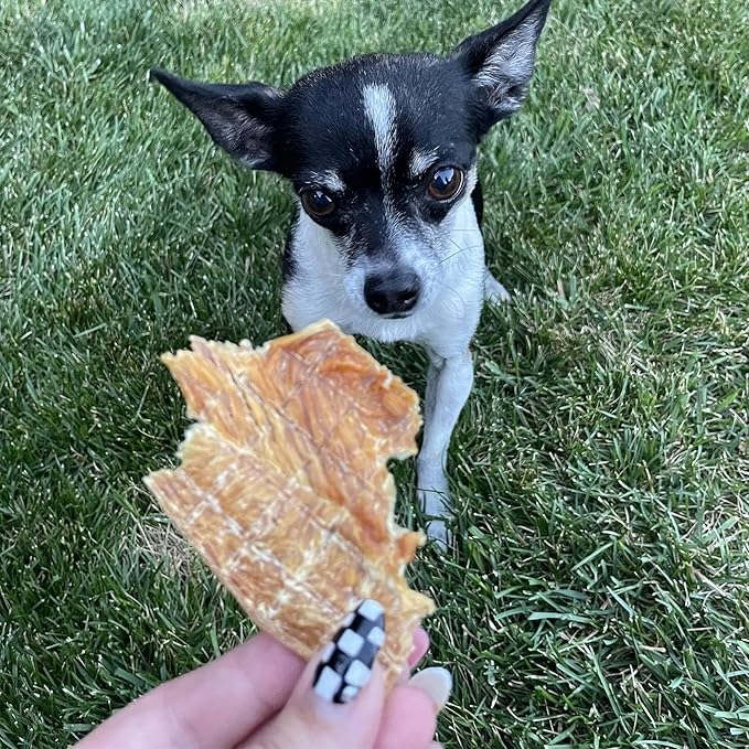 Pupford Chicken Jerky Treats for Dogs for Large & Small Dogs of All Ages | Made in USA, 100% Real Meat & No Fillers | Dogs Love These Tasty Dog Snacks (Chicken 8 oz)