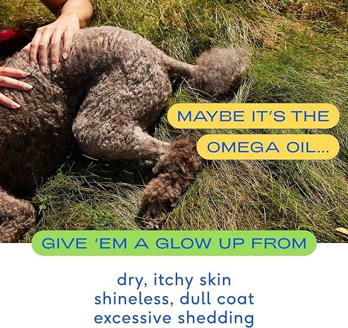 Native Pet Omega 3 Fish Oil Supplements with Omega 3 EPA DHA for Dogs Liquid Pump is Easy to Serve, Supports Itchy Skin + Mobility - Pollock & Salmon Oil for Dogs, The Fish Oil Dogs Love! (16 oz)