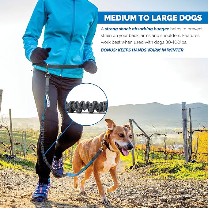 Hands Free Dog Leash, A Dog Running Leash for Dogs That Makes A Great Waist Leash for Dog Walking, Double Handle Bungee Dog Leash with Reflective Stitching and Adjustable Dog Walking Belt