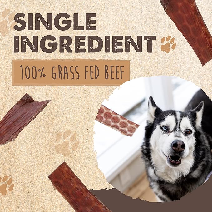 Mighty Paw Naturals Beef Gullet Jerky for Dogs | 100% Natural Dog Jerky Treats for Large Dogs, Medium Pets & Small Breeds. Healthy Beef Jerky Dog Treats. Dog Treats Jerky Strips 14oz