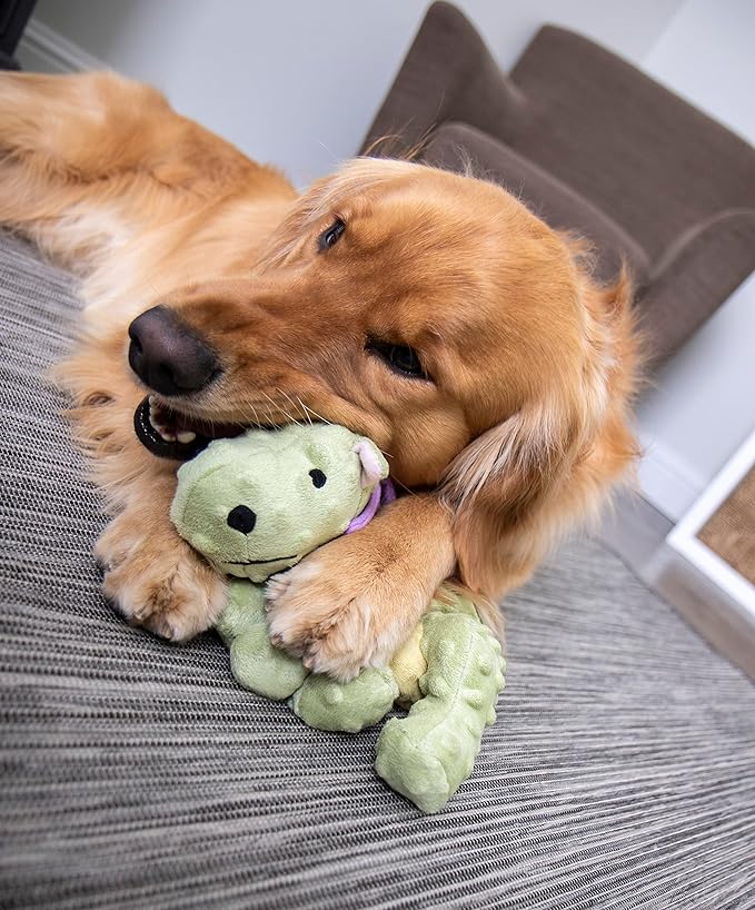 goDog Bubble Plush Dragons Squeaky Dog Toy, Chew Guard Technology - Lime, Large