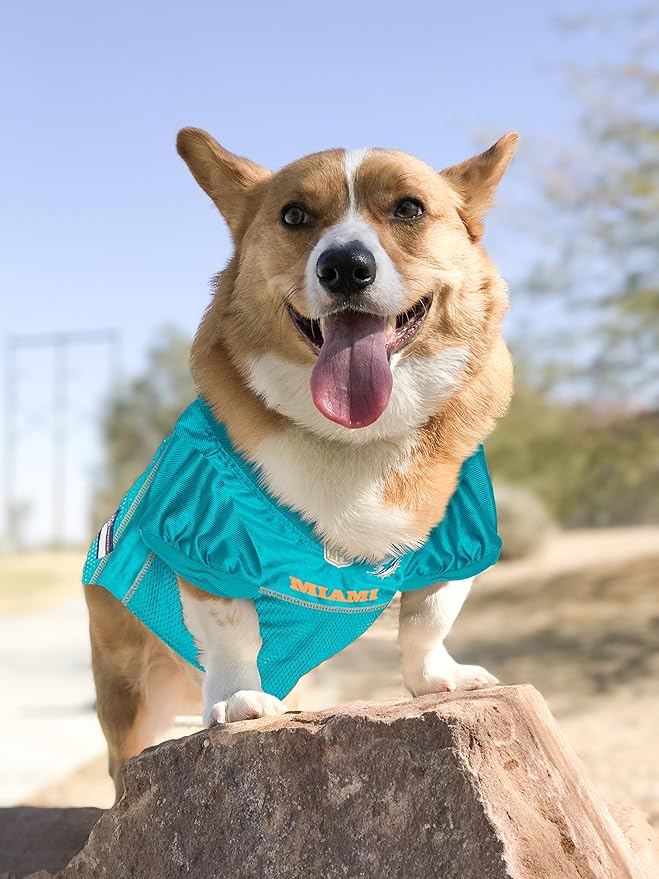 NFL Miami Dolphins Dog Jersey, Size: X-Small. Best Football Jersey Costume for Dogs & Cats. Licensed Jersey Shirt