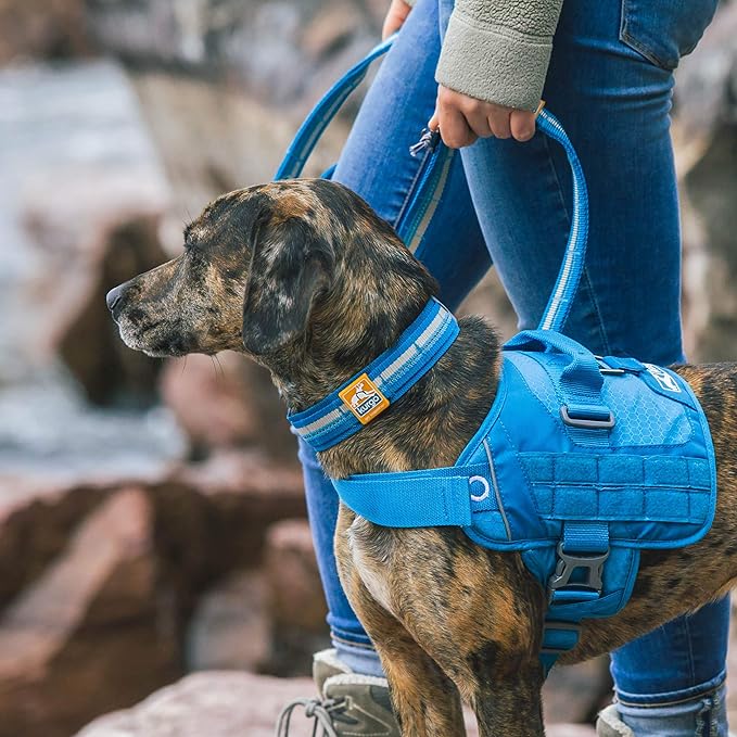 Kurgo RSG Collar & RSG Stub Leash, MOLLE Dog Collar, MOLLE Leash for Dogs, Extra Wide Collar for Dogs, Hands Free Dog Leash, Reflective, Adjustable, Blue