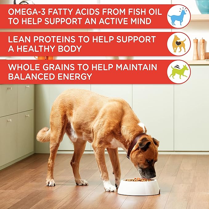 Nutrish Rachael Ray Chunks in Gravy Wet Dog Food, Real Beef & Veggies Recipe, 13 Ounce (Pack of 12)