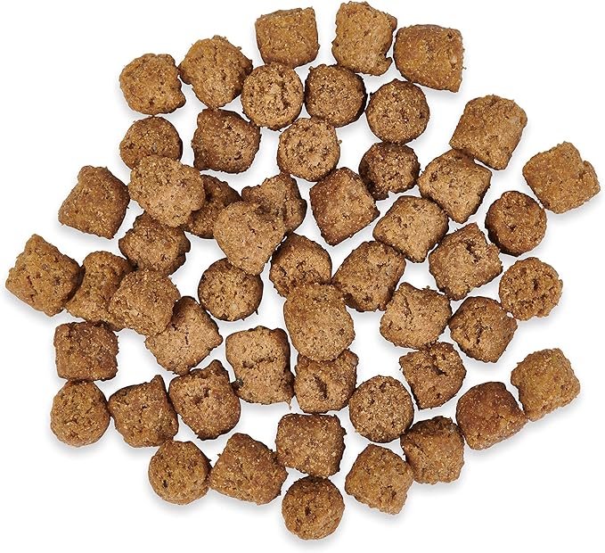 Ketona Salmon Recipe Adult Dry Dog Food, Natural, Low Carb (Only 5%), High Protein (46%), Grain-Free, The Nutrition of a Raw Diet with The Cost and Convenience of a Kibble; 4.2 lb