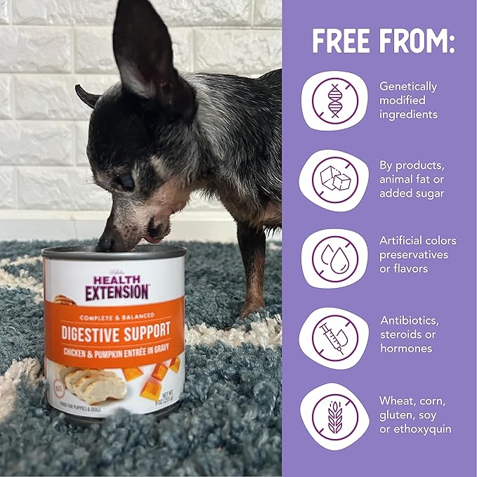 Health Extension Gravy Dog Food, Chicken Meal & Pumpkin Entrée, Crude Protein, Fiber & Fat with Added Vitamins, All Life Stages, Wet Dog Food, Improve Gut Health, Digestive Support (9 Ounce, 12 Cans)