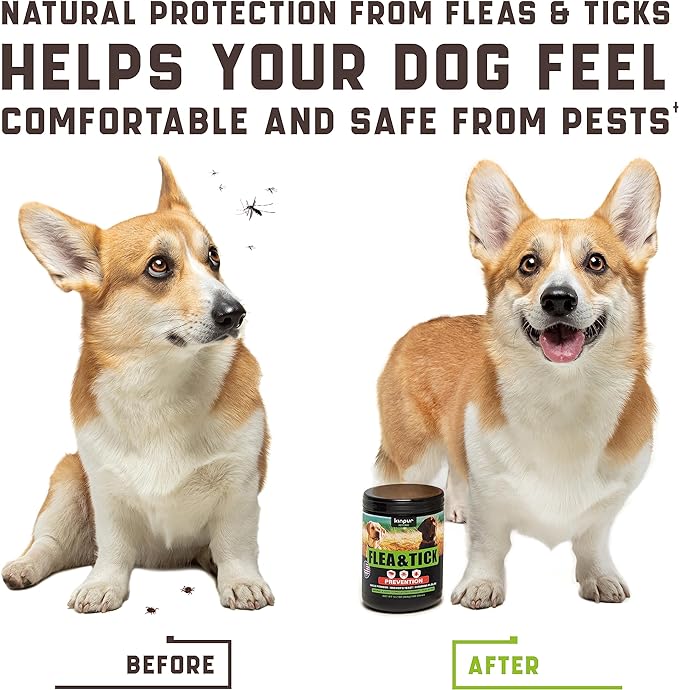 Flea and Tick Prevention Chewable for Dogs - No Collars, No Mess - Easy Help with Flea and Tick for Dogs - American Quality - for All Breeds and Ages - Duck-Flavored Treats - 180 Flea Chews for Dogs