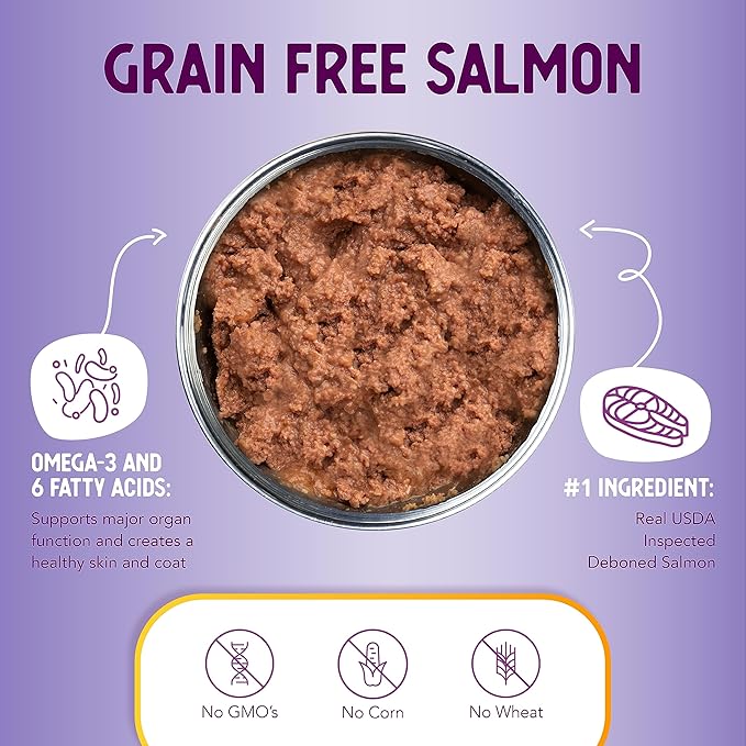 Health Extension Wet Dog Food, Gluten and Grain-Free, Healthy Natural Food Canned for Puppies, Salmon Recipe (12.5 Oz / 362 g) (Pack of 12)