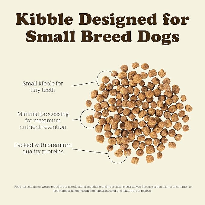 Now Fresh Grain Free Small Breed Dog Food, 3.5 lb - Dry Puppy Food Recipe - Healthy Diet with Probiotics & Real Meat and Fish for Protein
