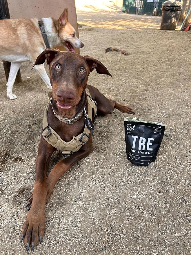 Operation Good Boy Dog Treats - Beef Jerky Strips Bang Bang Beef | Natural, Farm-Raised Meat - Vet-Formulated AAFCO approved ingredients | Perfect Training Treats for Medium to Large Dogs