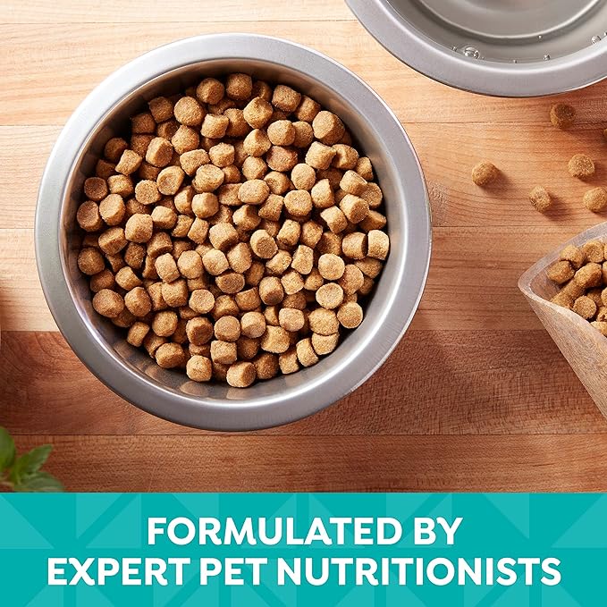 Nature’s Recipe Easy-to-Digest Chicken, Barley & Brown Rice Recipe Dry Dog Food, 24 lb. Bag