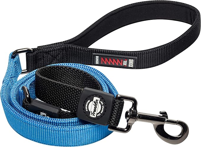 Franklin Pet Supply - Nylon Dog Leash - Comfort - Neoprene Handles- Shok-Tek Bungee System - 4 Foot - Dog Training - Walking