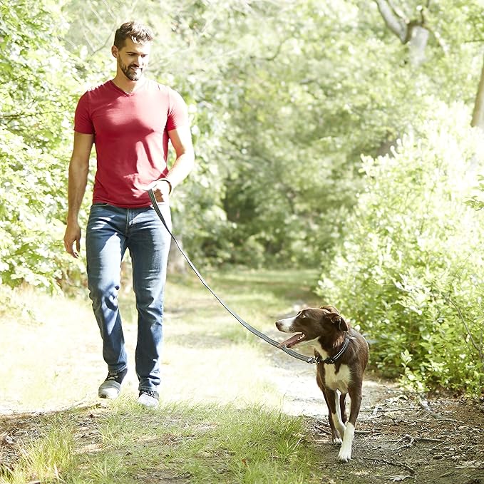 Franklin Pet Supply Nylon Dog Leash – Reflective – Comfort Fit – Neoprene Handle – 6 Foot – Dog Training – Walking – Red