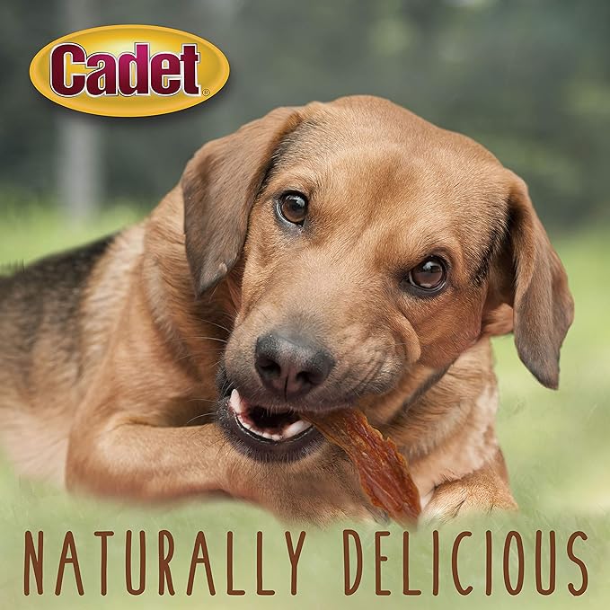 Cadet Gourmet Duck Breast Dog Treats - Healthy & Natural Dog Training Treats for Small & Large Dogs - Inspected & Tested in USA (2.5 lb.)