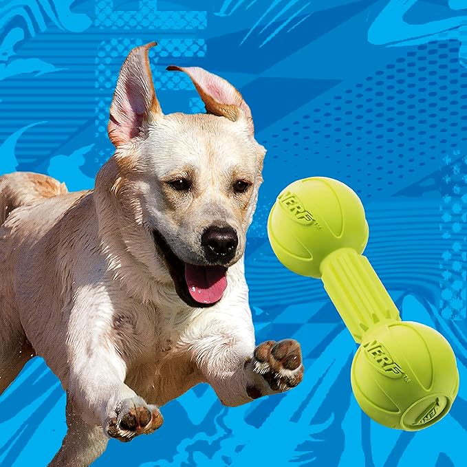 Nerf Dog Rubber Chew Barbell Dog Toy, Lightweight, Durable and Water Resistant, 7.5 Inches, For Medium/Large Breeds, Single Unit, Green (6994)