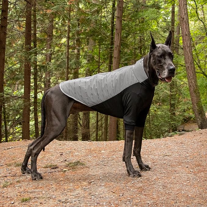 Furhaven Water-Repellent XXL Dog Coat, Washable & Reflective w/ Leash Access & Stretch Fabric - Pro-Fit Active Jacket - Chrome, 2XL/XX-Large