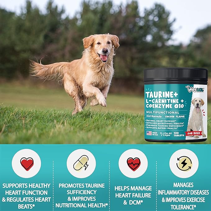 Taurine Supplement for Dogs with L-Carnitine and Coenzyme Q10 (CoQ10): Vet Endorsed for Enlarged Heart (DCM), Congestive Heart Failure, Taurine Deficiency: 3-in-1 Multivitamin Dog Supplements- 120ct