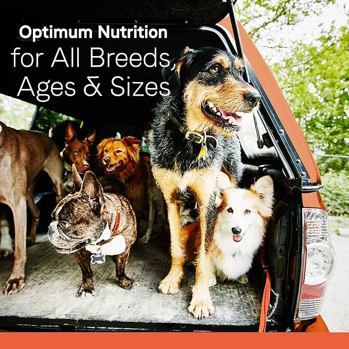 Canidae All Life Stages Premium Dry Dog Food for Less Active Dogs, All Ages, Chicken, Turkey & Lamb Meals, 15 lbs.