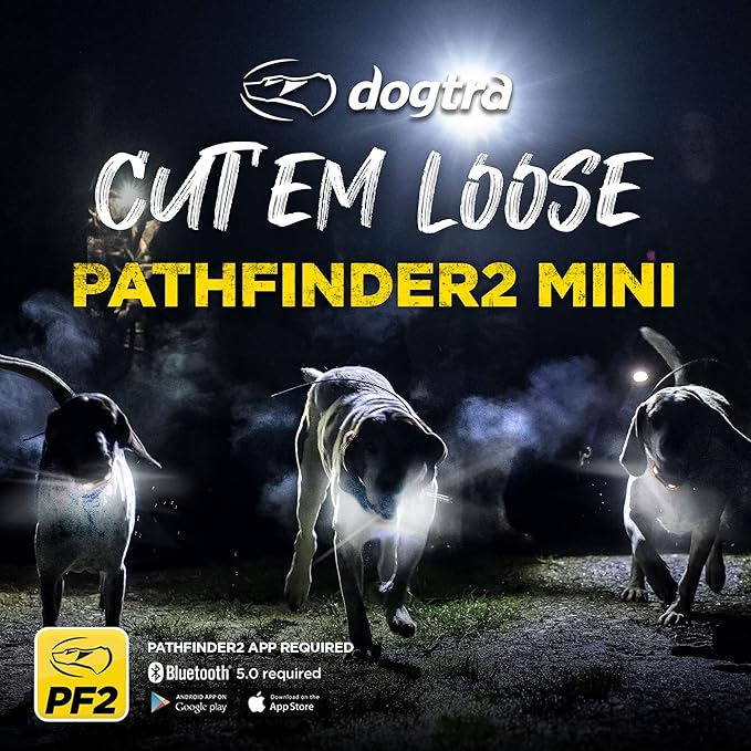 Dogtra Pathfinder 2 Mini - 4 Mile GPS Tracker Dog Hunting Training Collar with Remote, Rechargeable E-Fence Training Collar for Small Medium Large Sport Hunting Dogs, Electric Collar for Professionals