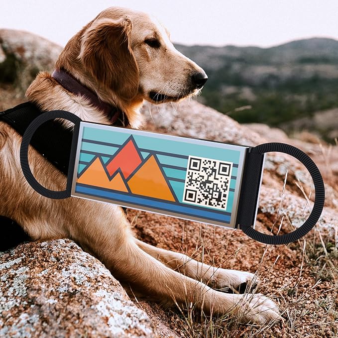 QR Code Dog Tag,Silent Dog Tags Personalized for Pets, Slide On Dog Tag,Custom Dog Name ID Tags Personalized Noiseless Dog and Cat Tags-Free Online&Scan QR Receive Instant Location Alert Email