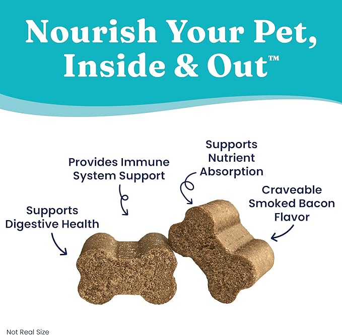 Solid Gold Dog Probiotic Chews - Bacon Flavor Soft Chews for Dog Digestive Support - Mellow Belly Probiotic for Dogs with Fiber & Digestive Enzymes for Bowel Support & Gut Health - 120 Count
