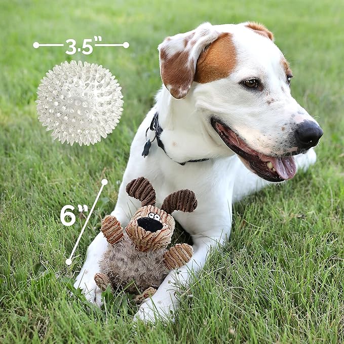 Hyper Pet Bumpy Palz 2-In-1 Interactive Dog Toys, Dog Chew Toys & Dog Puzzle Toy (Plush Dog Toy Exterior & Fun Squeaky Dog Ball Dog Toy Interior for Large Dogs, Medium Dogs & Small Dogs)