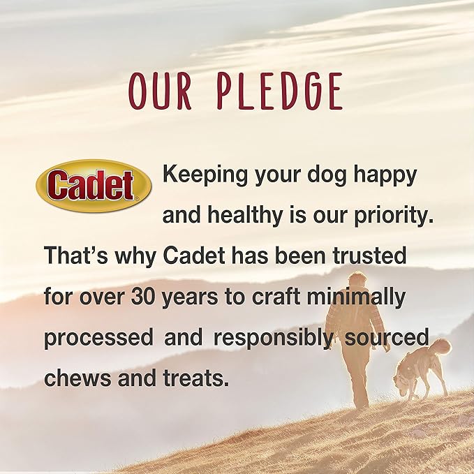 Cadet Gourmet Chicken & Apple Wrapped Dog Treats Wraps - Healthy & Natural Chicken & Apple Dog Training Treats for Small & Large Dogs - Inspected & Tested in USA (14 oz.)