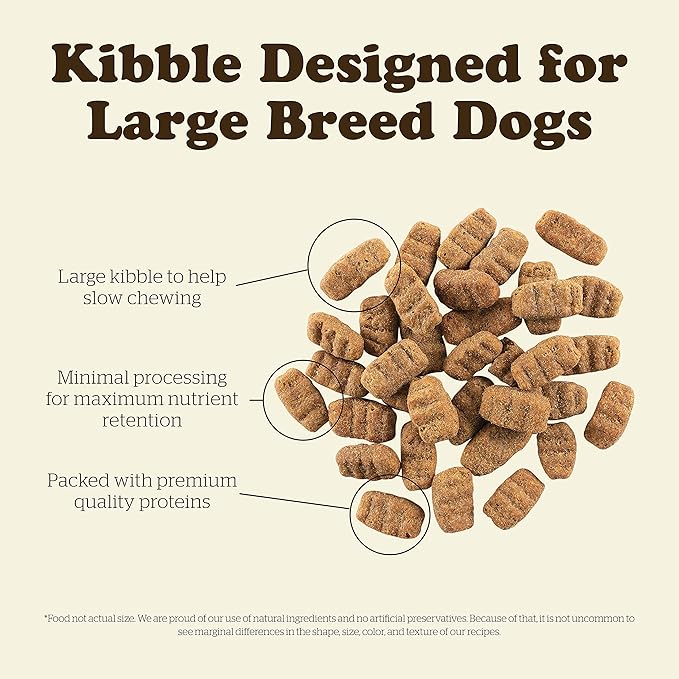 Now Fresh Grain Free Dog Food, 25 lb - Large Breed Senior Dog Food Recipe - Healthy Diet with Probiotics & Real Meat and Fish for Protein