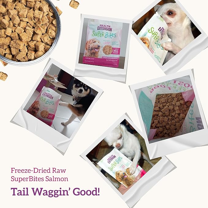 Health Extension Super Bites, Freeze-dried Raw, Gluten & Grain-free, with Extra Protein & Super Tasty Healthy Meal Mixer for Dogs, Salmon Recipe (18 Oz / 226 g)