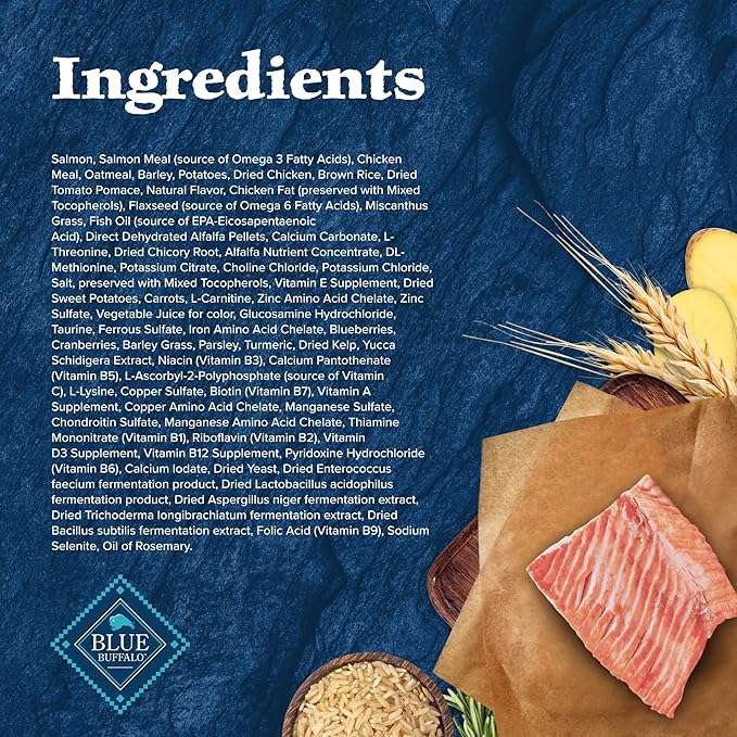 Blue Buffalo Wilderness High Protein Natural Large Breed Adult Dry Dog Food plus Wholesome Grains, Salmon 28 lb bag