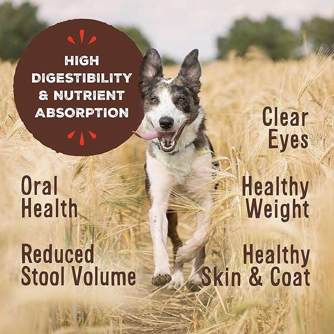 Primal Freeze Dried Dog Food Nuggets, Duck; Complete & Balanced Meal; Also Use as Topper or Treat; Premium, Healthy, Grain Free, High Protein Raw Dog Food, 14 oz