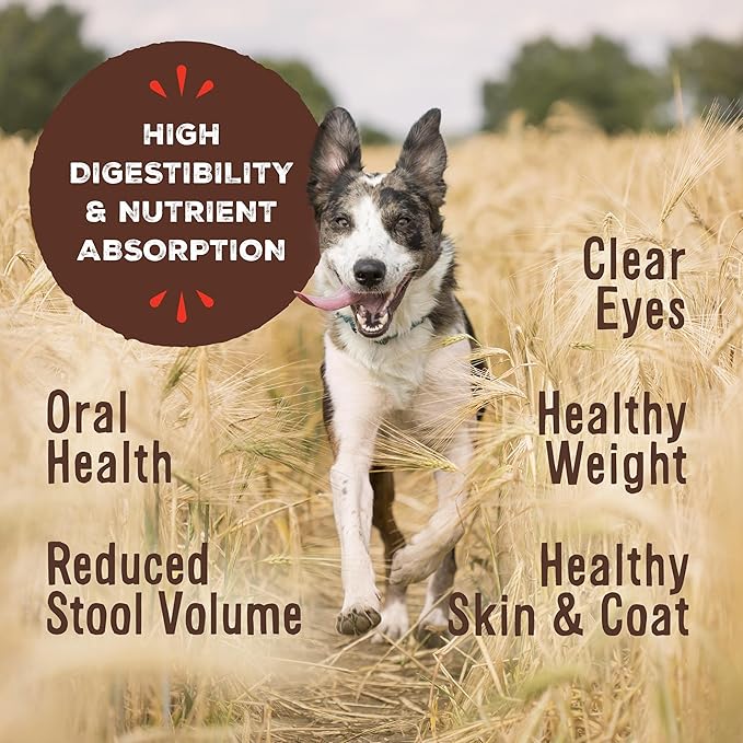 Primal Freeze Dried Dog Food Pronto, Pork; Scoop & Serve, Complete & Balanced Meal; Also Use As Topper or Treat; Premium, Healthy, Grain Free, High Protein Raw Dog Food (16 oz, 2-pack)